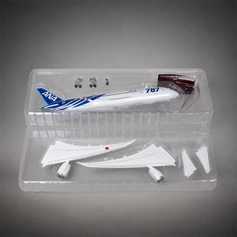 All Nippon Airways Boeing 787 1:130 Scale Model