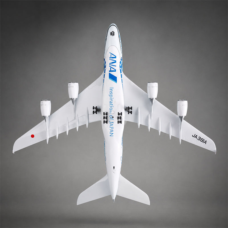 All Nippon Airways Airbus A380 Flying Honu 1:160 Scale Model