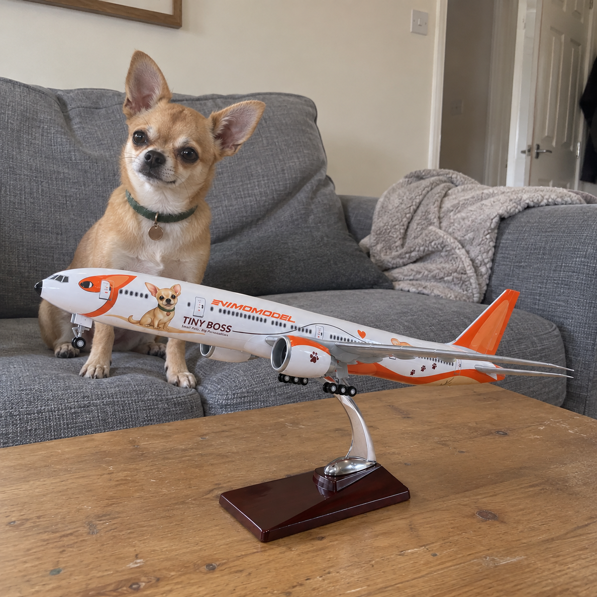 Ein Chihuahua sitzt hinter dem Flugzeugmodell NimoModel Tiny Boss B777-300ER auf seinem Präsentationsständer
